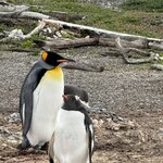 Photo taken by Raghu V