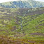 Photo taken by Robert W