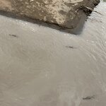 Photo taken by Les A