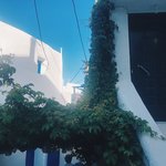 Photo taken by Bill R