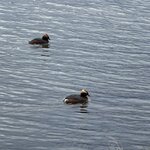 Photo taken by Tom B