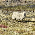 Photo taken by Joe D