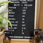 Photo taken by Tamara C