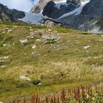 Photo taken by Irwin M