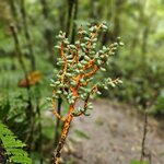 Photo taken by Andrea M