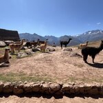 Photo taken by Dion F