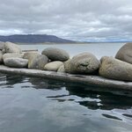 Photo taken by Connie P