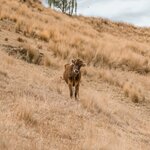 Photo taken by Savana H