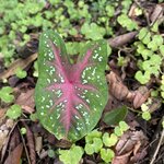 Photo taken by Hannah S