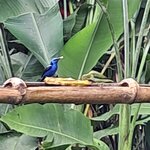 Photo taken by Linda P