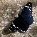 Photo taken by Ben B