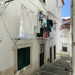 Photo taken by Lisa B