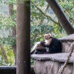 Photo taken by Jeffrey B