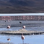 Photo taken by Denisse G