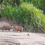 Photo taken by Karen P