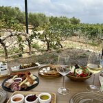 Photo taken by Darcy G