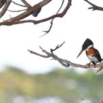 Photo taken by Graeme W