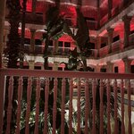 Photo taken by Paula H