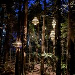 Photo taken by Scott L