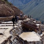 Photo taken by Mike B