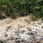 Photo taken by Mike C