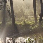 Photo taken by Adriene A