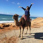 Photo taken by Lisa R