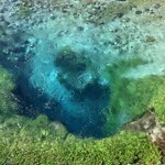 Photo taken by John B