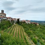 Photo taken by Janis R