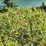 Photo taken by Jose R