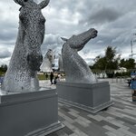 Photo taken by Tina D