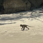 Photo taken by Brandon P