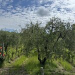 Photo taken by Charlotte B