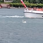 Photo taken by Jennifer S