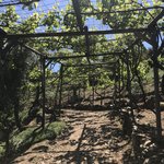 Photo taken by Victoria P