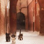 Photo taken by Kris C