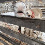 Photo taken by chelsea t