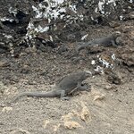 Photo taken by Lisa P