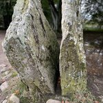 Photo taken by Danielle P