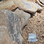 Photo taken by Dan J