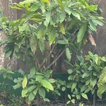 Photo taken by Alexia M