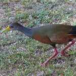 Photo taken by Joyce C