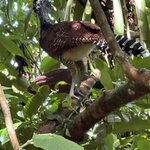 Photo taken by Cindy R