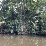 Photo taken by Kozue N