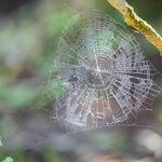 Photo taken by William A