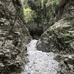 Photo taken by Liz S