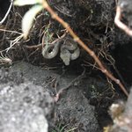 Photo taken by William R