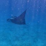 Photo taken by Jason C