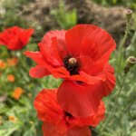 Photo taken by Carina S