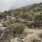 Photo taken by Kristin M